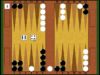 How To Play – Backgammon – The Basics – A Tough Game