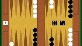 How To Play – Backgammon – The Basics – On the Ground Floor