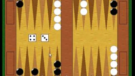 How To Play – Backgammon – The Basics – Playing a Blitz
