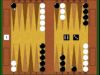How To Play – Backgammon – The Basics – The Opening Move